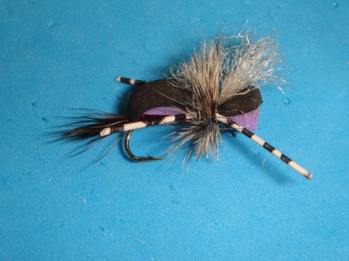 Fly fishing flies viola - fly,
